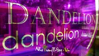 Cafe Dandelion - hoa Bồ Công Anh