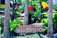 Cafe Hoa Đồng Nội