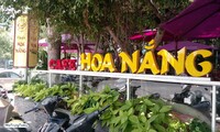 Cafe Hoa Nắng