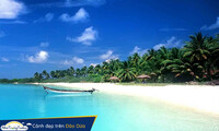 Đảo Dừa