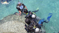 Phân Biệt Giữa Lặn Snorkeling Và Scuba Diving Nha Trang