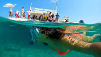 Phân Biệt Giữa Lặn Snorkeling Và Scuba Diving Nha Trang