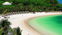 Tour Đảo Dừa