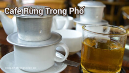 Cafe Rừng Trong Phố Nha Trang