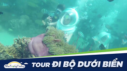Tour đi bộ dưới biển Nha Trang Giá Rẻ - Uy Tín 2023