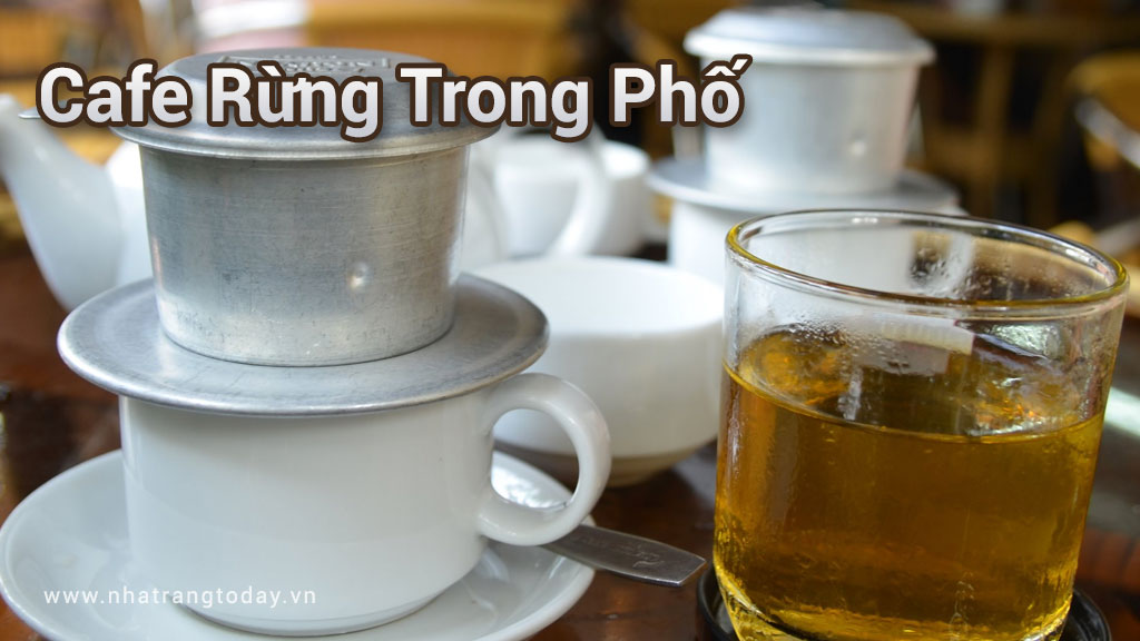 Cafe Rừng Trong Phố Nha Trang