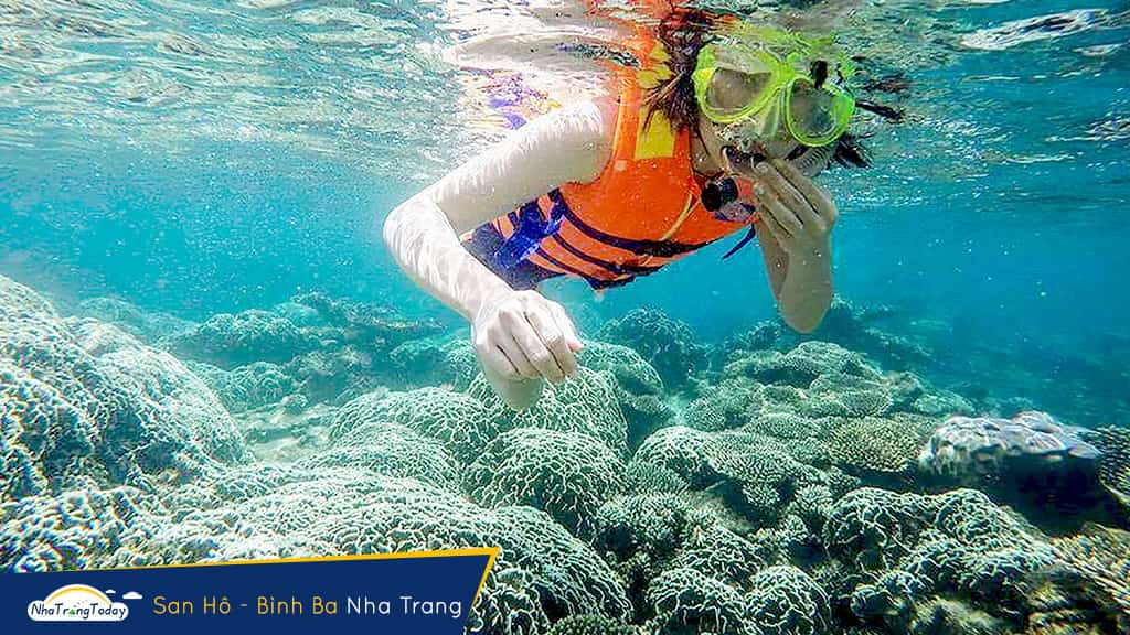 kinh nghiệm lặn biển ngắm san hô nha Trang