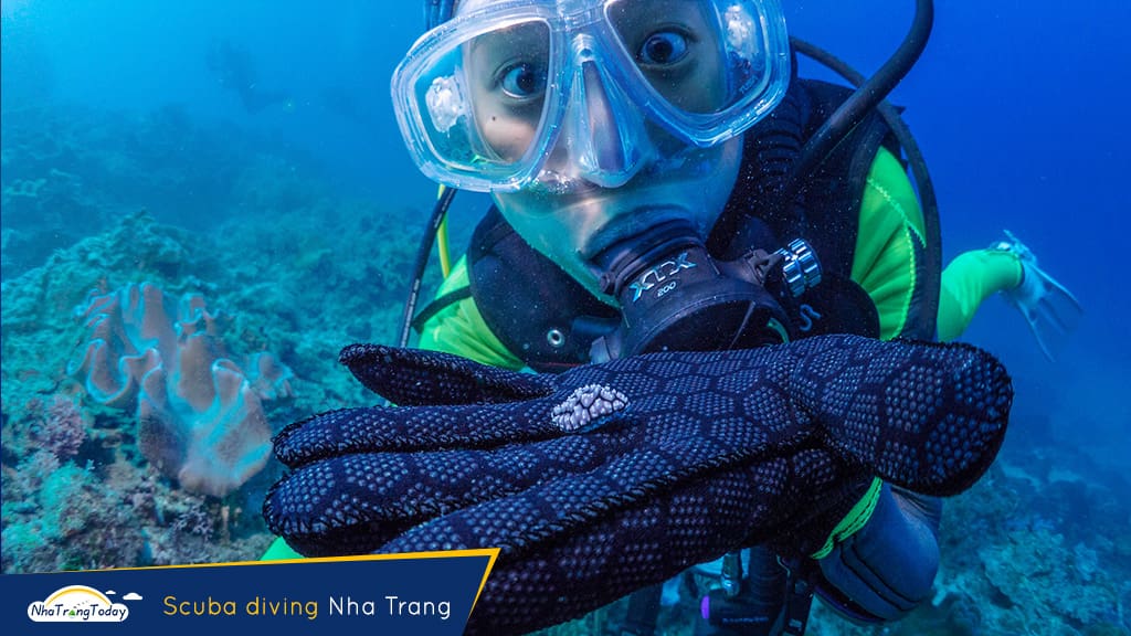 kinh nghiệm lặn biển ngắm san hô nha Trang