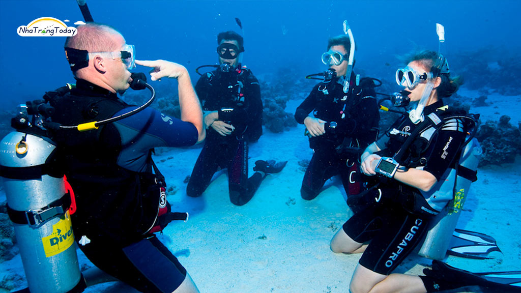 phân biệt lặn snorkeling và scuba diving