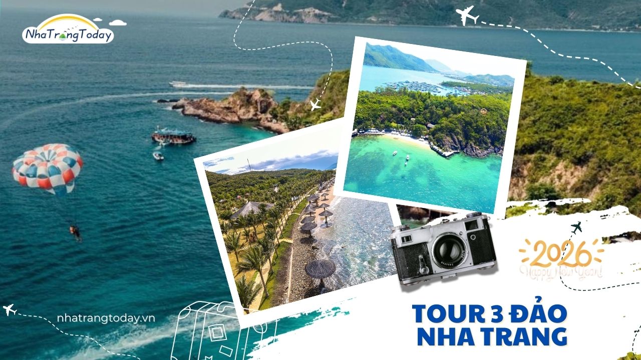 Tour 3 Đảo VIP Nha Trang 1 Ngày - Đi Cano Cao Tốc - Cam Kết Chất Lượng Cao