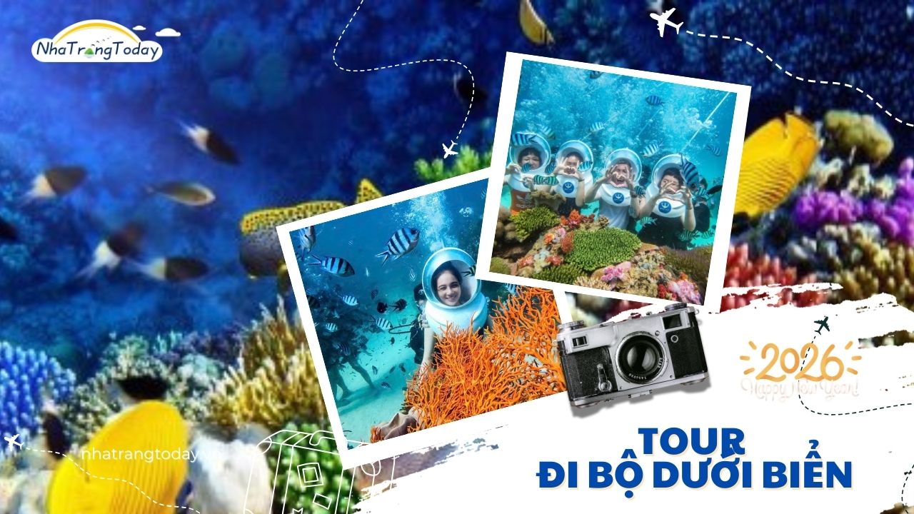 Tour đi bộ dưới biển Nha Trang Giá Rẻ - Uy Tín 2024