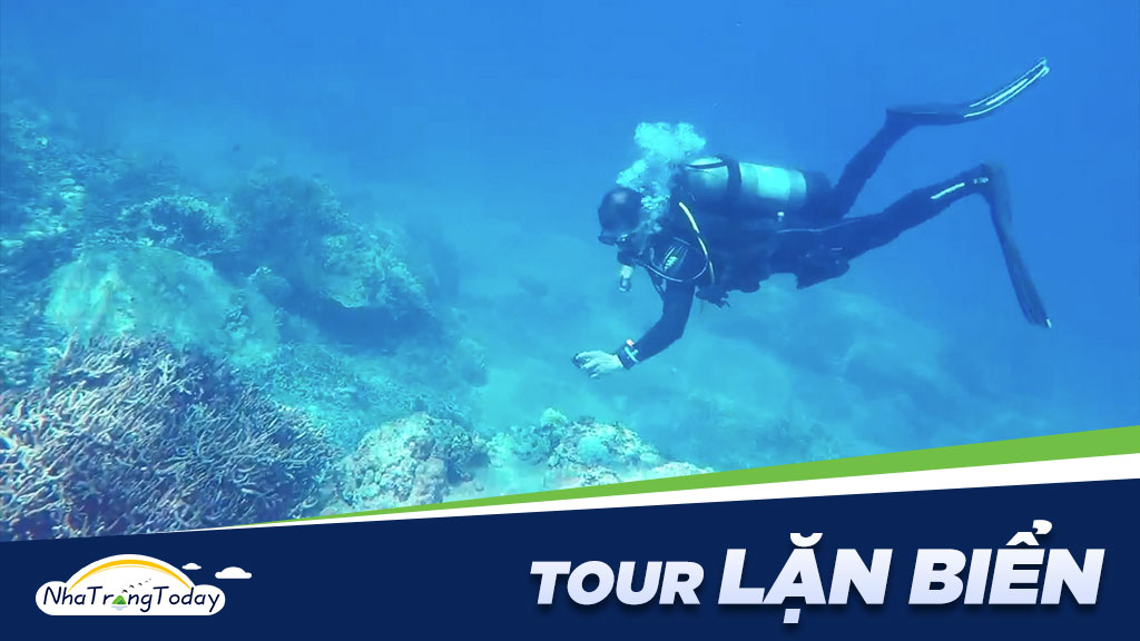 Tour lặn biển Nha Trang - Ngắm san hô cực đẹp 2023